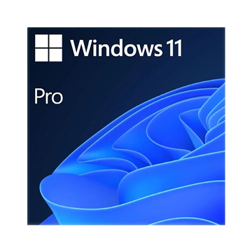 Microsoft Windows 11 Pro 64-bit Retail ESD