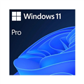 Microsoft Windows 11 Pro 64-bit Electronic Delivery Retail Licence - Retail ESD