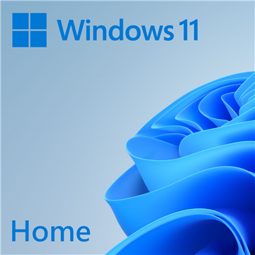 Microsoft Windows 11 Home 64bit OEM Eng Intl 1PK 